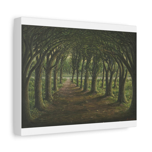 Enchanted Tree Tunnel Matte Canvas Print — Forest Path Wall Art Printify