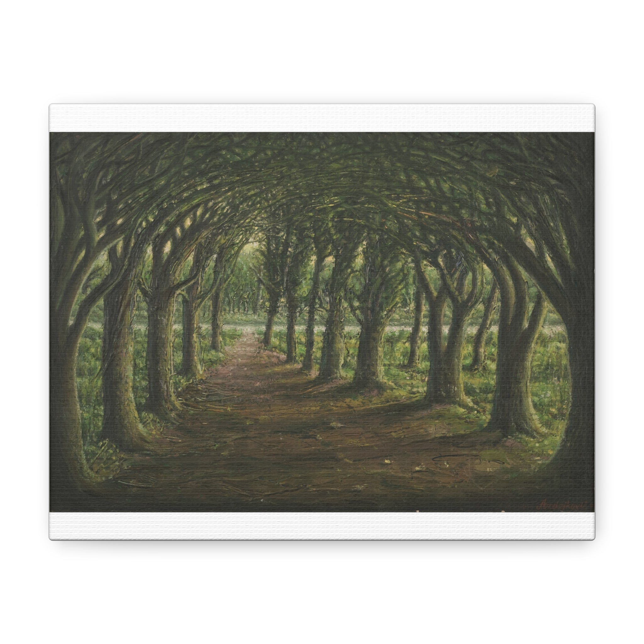 Enchanted Tree Tunnel Matte Canvas Print — Forest Path Wall Art Printify