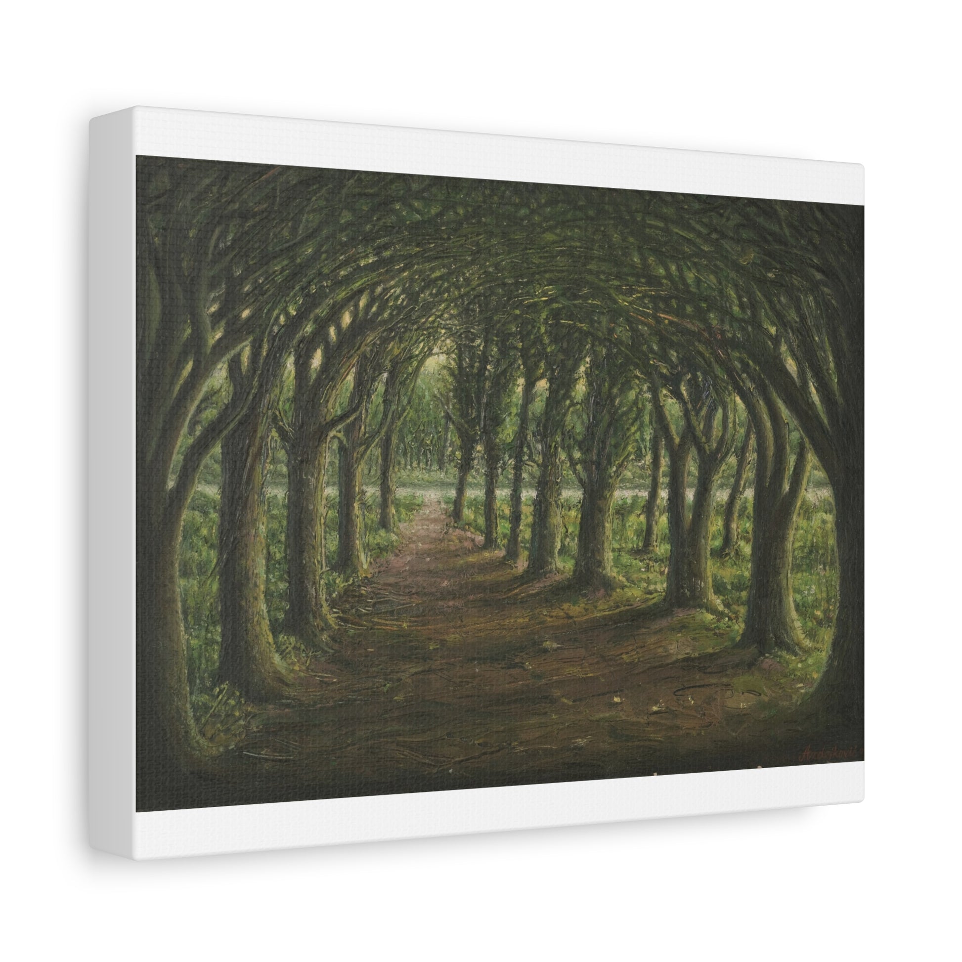 Enchanted Tree Tunnel Matte Canvas Print — Forest Path Wall Art Printify
